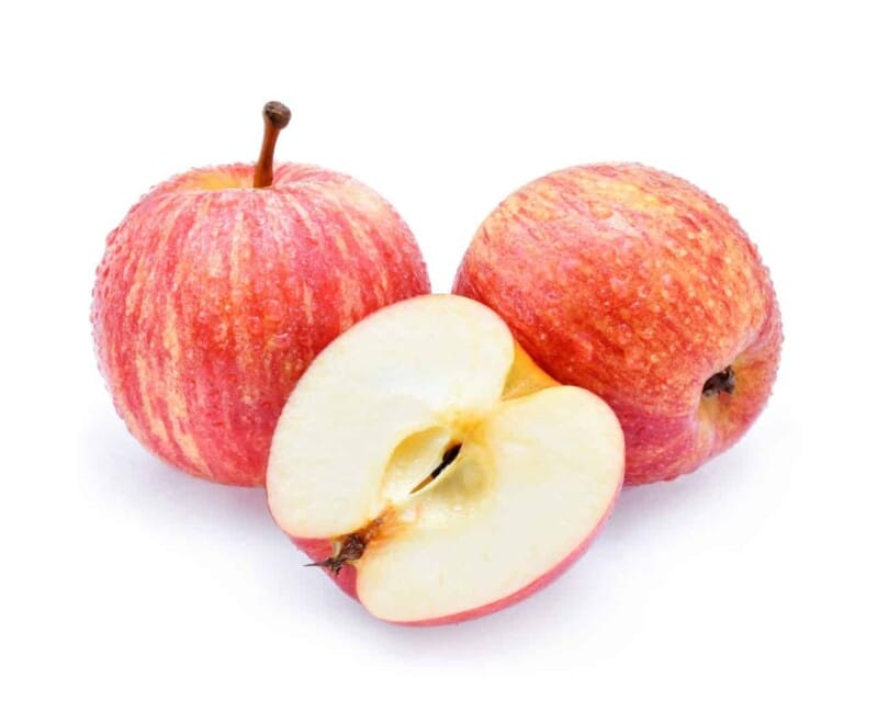 gala-apple-fruit