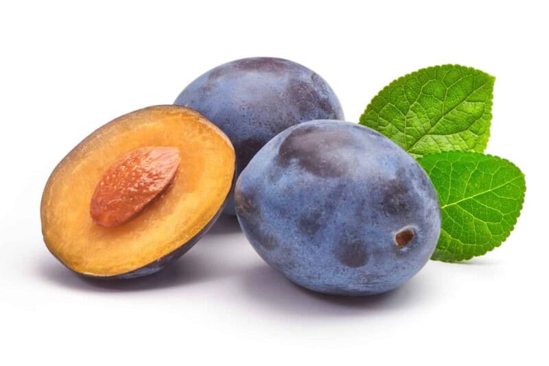 opal-plum-fruit