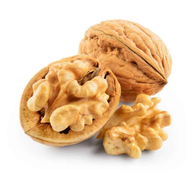 walnut-nut