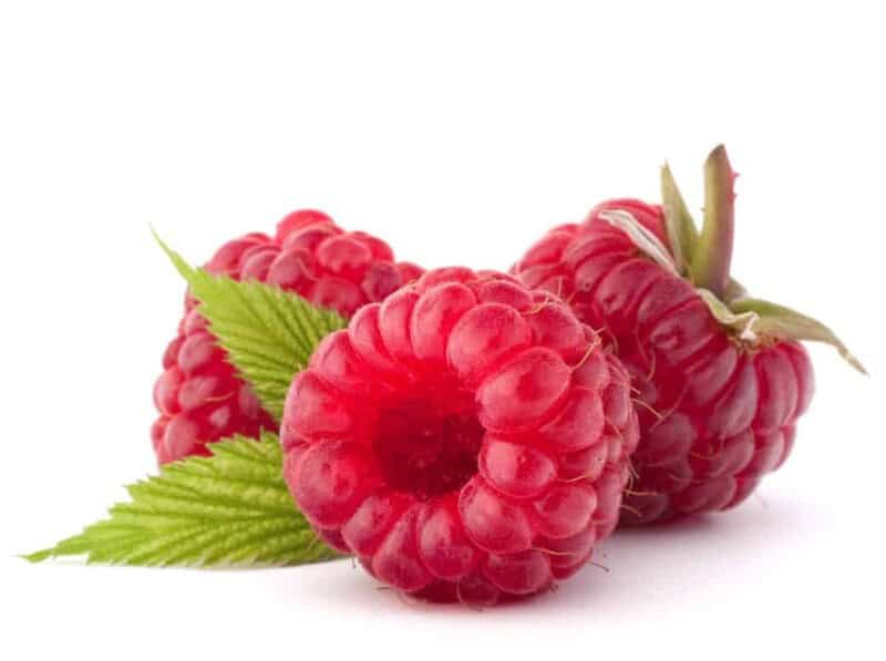 yummy-raspberry-fruit